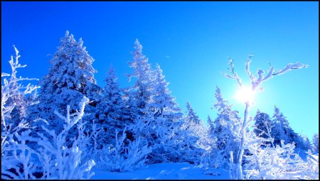 Un paysage de neige grandiose sous un ciel bleu.