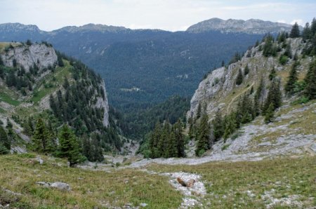 Forêt de la Charmette et la Grande Sure