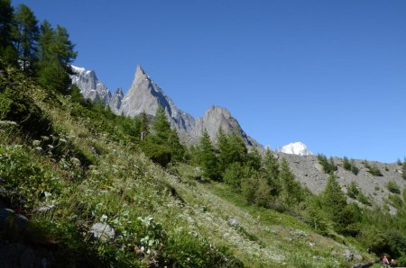 Aiguille Noire de Peuterey (3772 m)