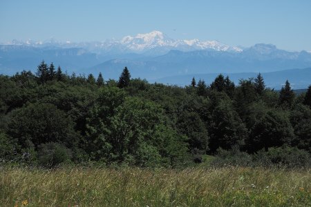 Vue du col de Charbemènes sur Bornes et mont Blanc.