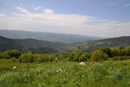 Panorama sur la vallée d’Ambert