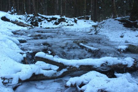 Ruisseau gelé au début du parcours