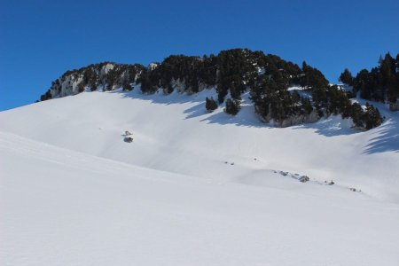 Vers le Col de l’Alpe
