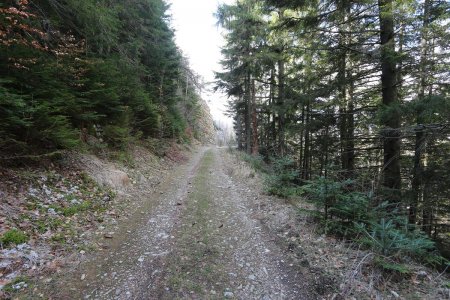 La piste dans le tour de la Montagne de Clairet.