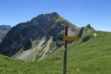 Vue du Mont Trélod vers Chalet du Charbonnet