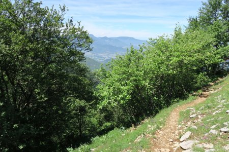 Vue depuis le Col de La Galoppaz