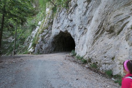 entrée Tunnel des Agneaux