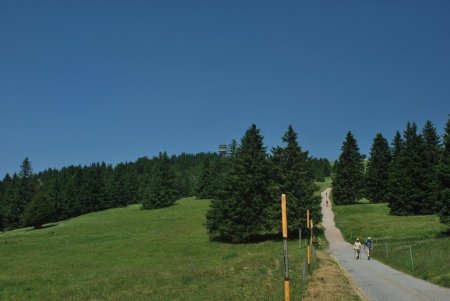 Départ de la randonnée, la tour d’observation du Bismark-Denkmal au loin