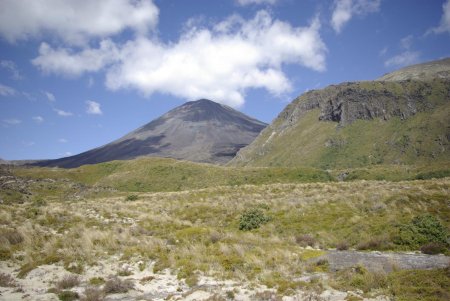 Mount Ngauruhoe de retour à la pampa.