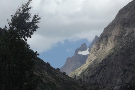 La Meije et son Glacier Carré
