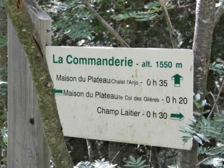 Dans la forêt de la montagne des Frêtes. On suit la direction de Champ Laitier.