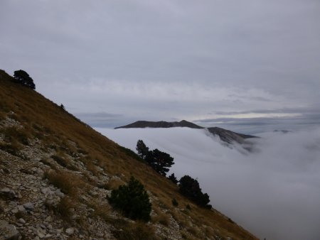 Le sommet du Jocou apparait au dessus de la mer de nuages.