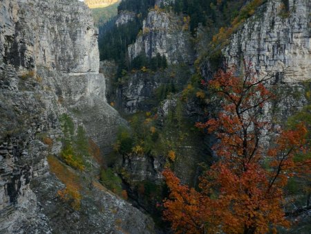 Majestueuses Gorges