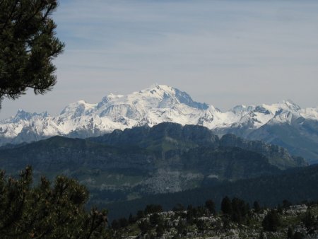 Chaîne des Aravis et Massif du Mont-Blanc  vus du Plateau du Parmelan