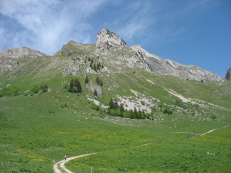 Banc Ferrand et  Pointe d’Arcalod dominant l’alpage d’Orgeval