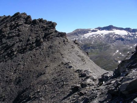 La Pointe et le Col de l’Arselle, au 2° plan le Glacier du Grand Pisaillas