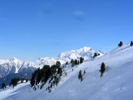 Paysages superbes avec le Mont Blanc en toile de fond