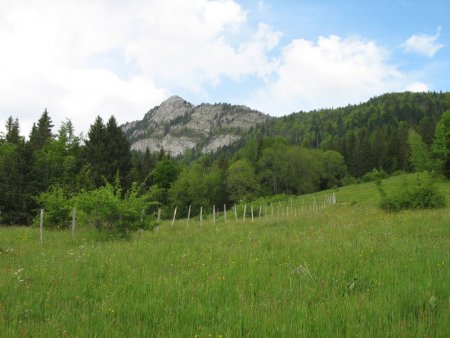 Le Mont Julioz (alt. 1.672 m) vu du Hameau des Garins