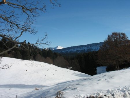 Plateau du Revard  et  Mont Margériaz vus du lieudit Les Fermes
