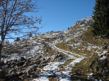 Chemin d’accès aux Chalets «du haut»