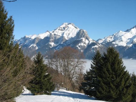 Mont Trélod (alt. 2.181 m)