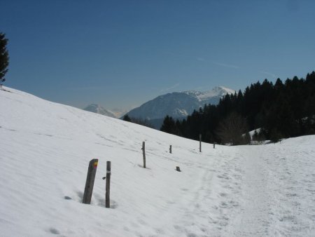 Chemin de montée - Mont Colombier
