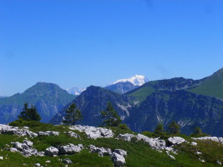 Le Trélod, la Dent de Rossanaz, le Mont Blanc