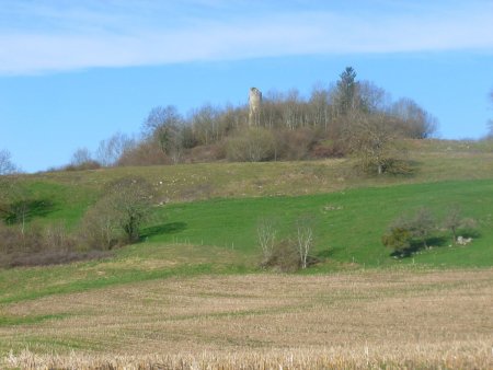 La tour du château de Meauchamps