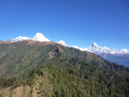 Les Annapurnas vu de Gurung Hill.