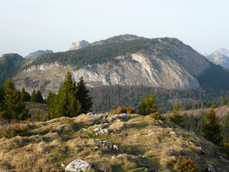 Mont Billiat, pointe d’Ireuse et Grand Rocher du Nifflon depuis le sommet des Rochers de la Mottaz.