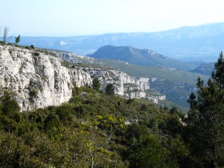 Vallon de Précatori depuis la route forestière.