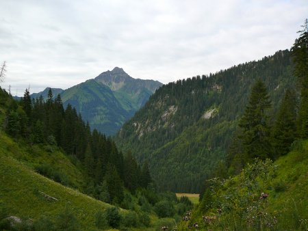Le Mont de Grange (2432m) lors de la montée.
