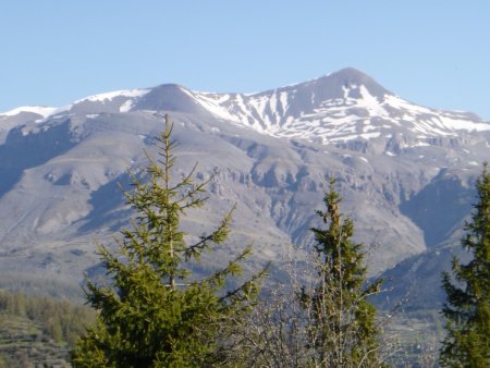 Après une rude montée dans les bois, le Mont Mounier apparaît comme une évidence, au nord.