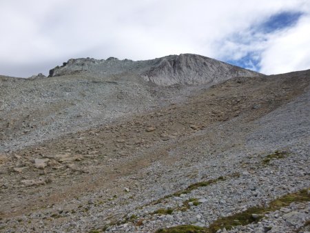 Les pentes sommitales du Mont de Maniglia.