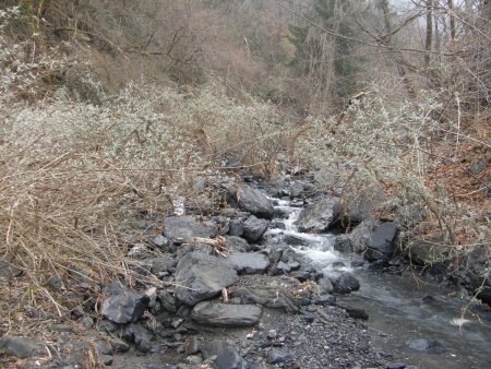 Ruisseau des Lavanches