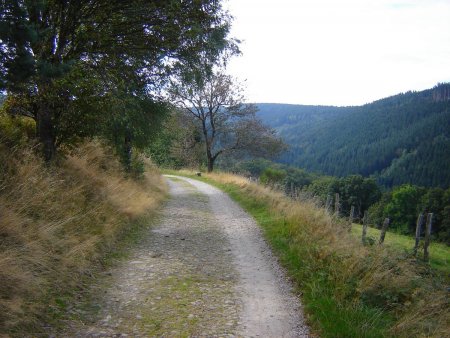 Large piste après le hameau de Salvaris.