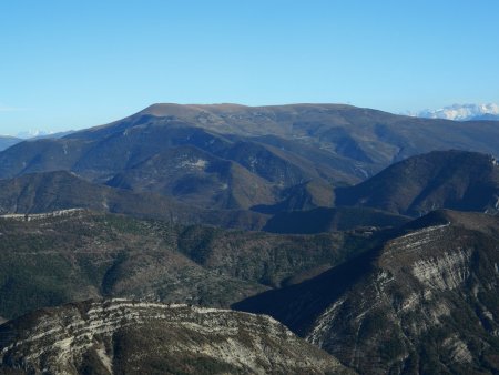 La Montagne d’Angèle, versant sud, vue depuis le Cougoir.
