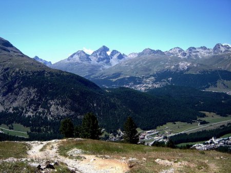 Le Val Bernina avec Pontresina, St. Moritz derrière la forêt et le Piz Güglia ou Julier en toile de fond.