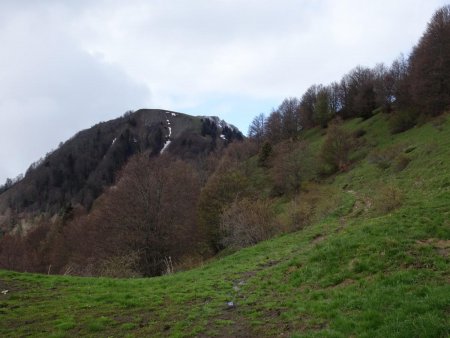 Chalets de la Buffaz : sentier vers le Col de la Buffaz