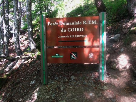 Forêt Domaniale R.T.M. du Coiro, Canton du RIF BRUYANT.