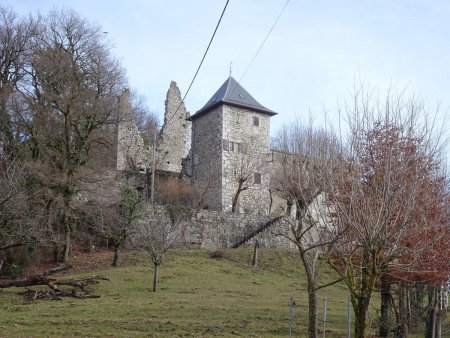 Château de Chanay