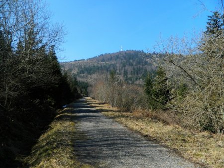 La route forestière.