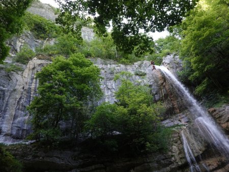 La Grande cascade, le long de sa falaise boisée.