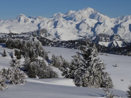 Au loin, le Mont Blanc resplendit en blanc...
