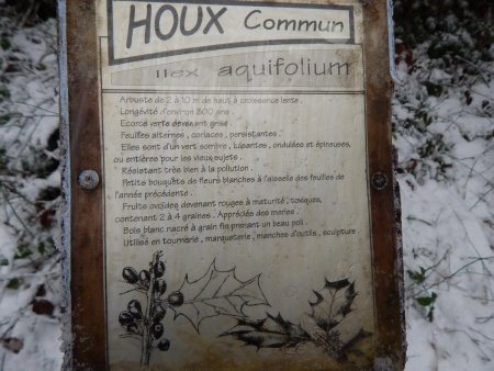 Arboretum Le Houx