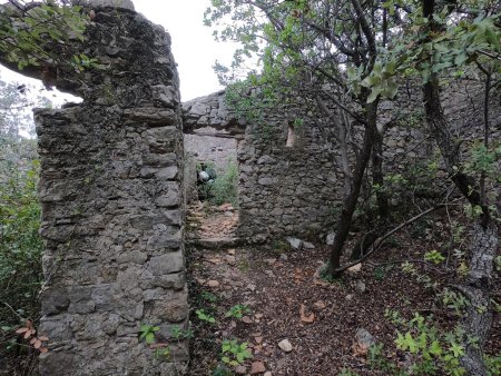 Ruines du Mas de l’Arbousier.