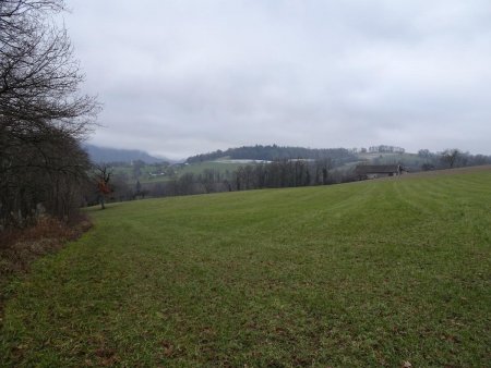 La colline de Fésigny