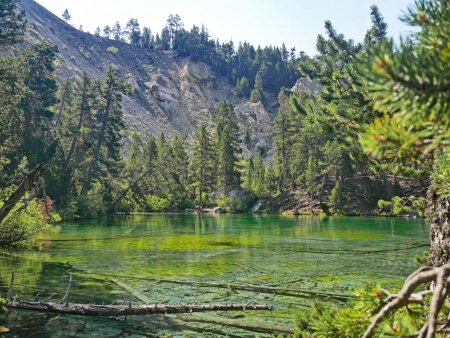 Etape 2 : Le lac vert