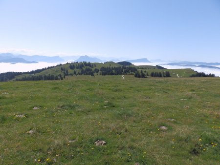 Plateau du Semnoz. Au centre de la photo, le Crêt de l’Aigle.