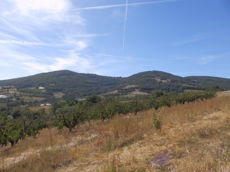 Le village de Saint-André-la-Côte se trouve au centre de la photo.